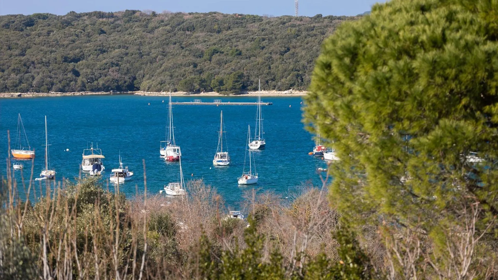 Apartment Eliana Banjole Croatia